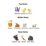 Naxos-Notes